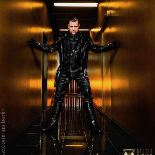 Galeriebild 19 von der dominus