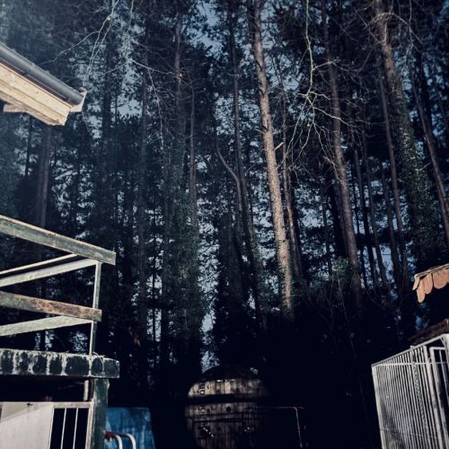 Galeriebild 4 von Mistress Henriette