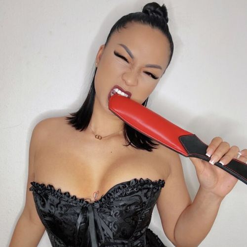 Galeriebild 4 von Lady Akita