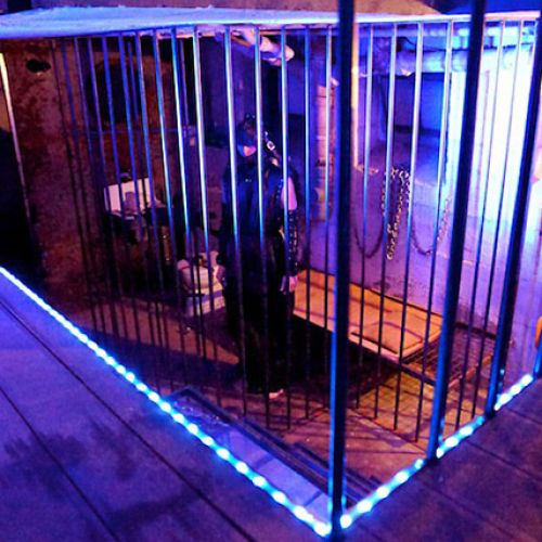 Galeriebild 10 von Novem Viginti